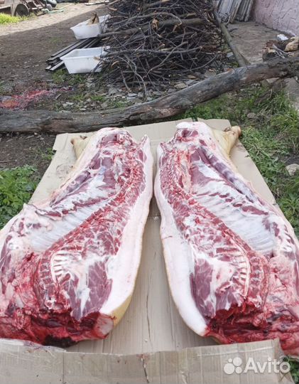 Свинина домашняя