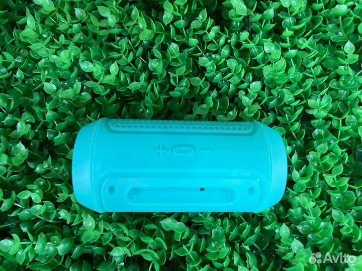 Беспроводная колонка avimax