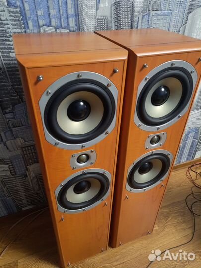 Колонки(2/100w,6om)