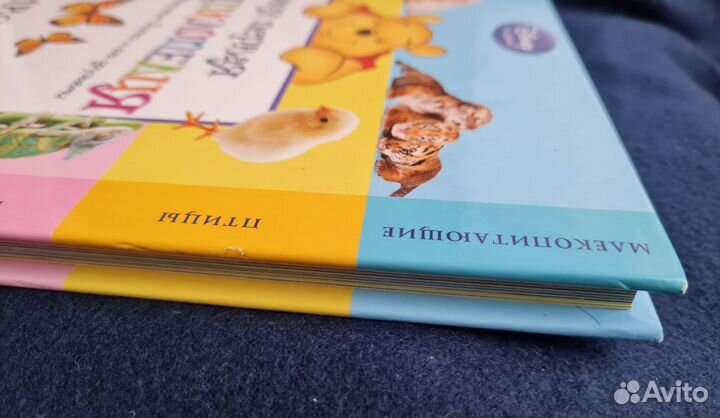 Моя первая энциклопедия. Животные