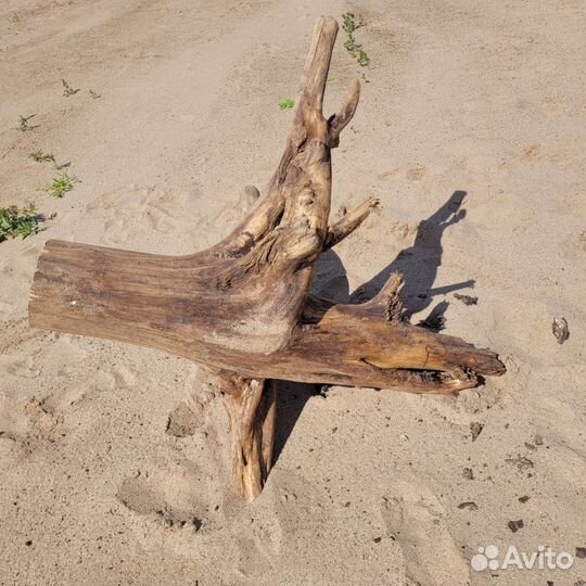 Пень декоративный, пенёк интерьерный