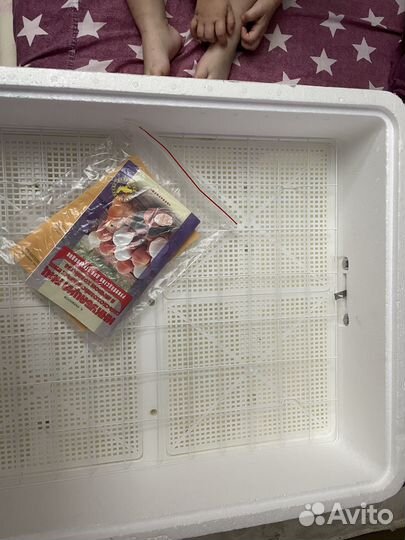 Инкубатор для яиц