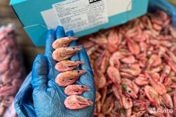 Креветка мурманская