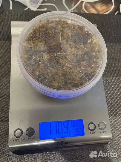 Мед в сотах 2024