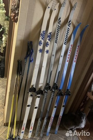 Беговые лыжи