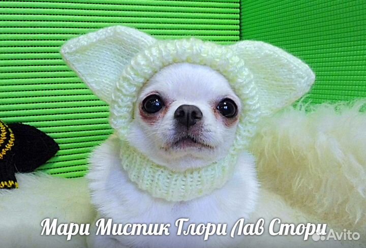 Шапка с узорами,кабашонами,меланж собакам + видео