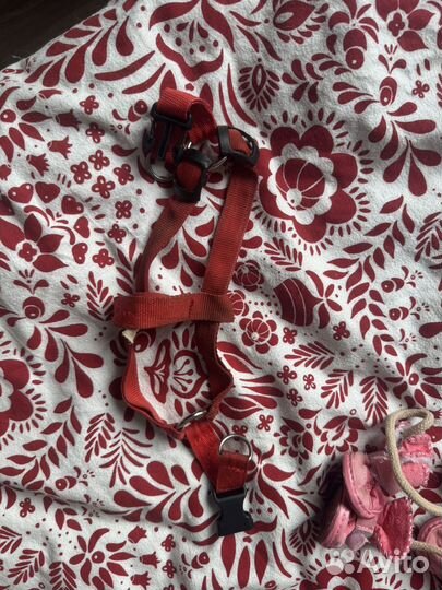 Шлейка для маленькой собаки