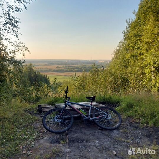 Горный велосипед Forward Apache 2.0 disc (2017) 26