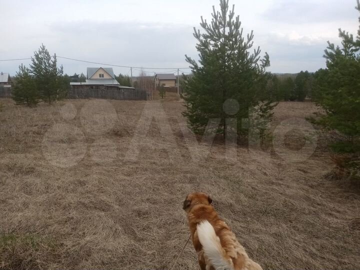 Участок 40 сот. (ИЖС)