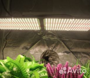 Фитолампа quantum board полный спектр 600 Вт