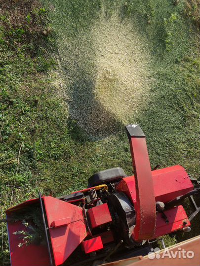 Щепа (мульча)