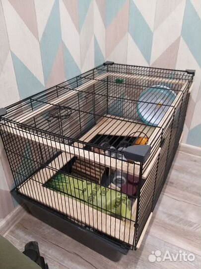 Клетка для грызунов бу