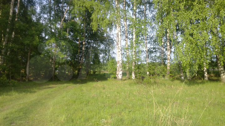 Участок 10 сот. (ИЖС)