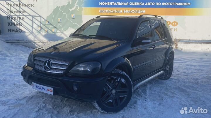 Педаль газа Mercedes-Benz ML55AMG (W163) 163300070