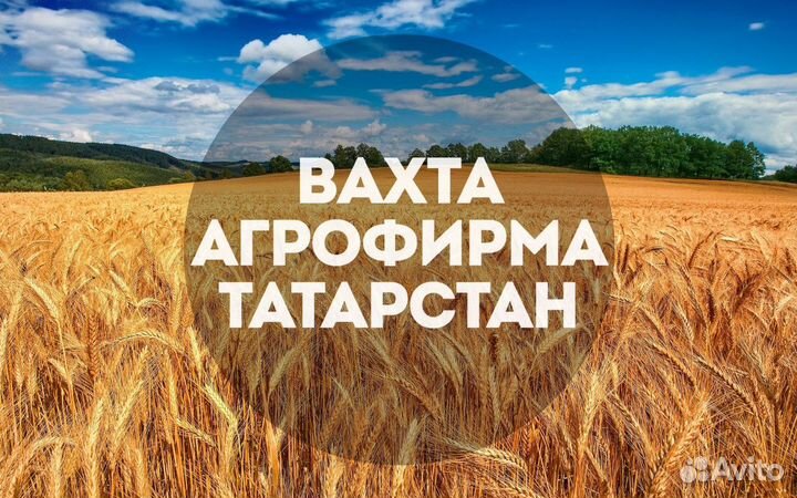Вахта с проживанием в Татарстане Разнорабочий