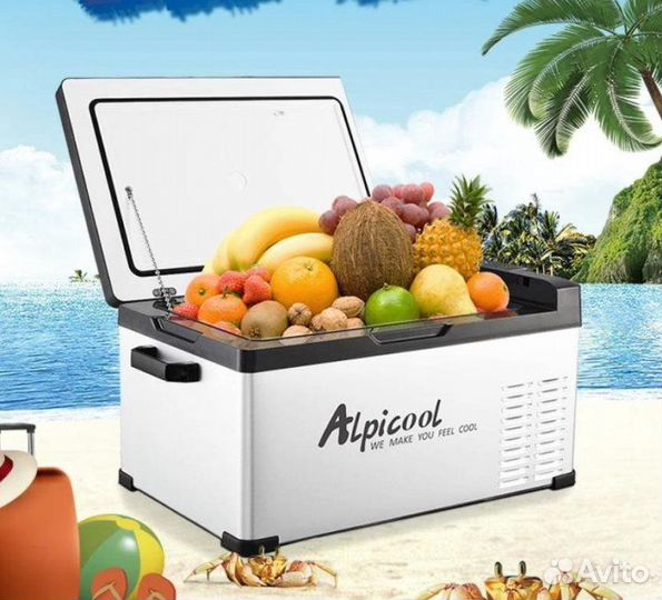 Прокат автохолодильника аренда