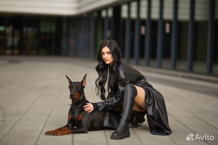 Фотосессия с доберманом