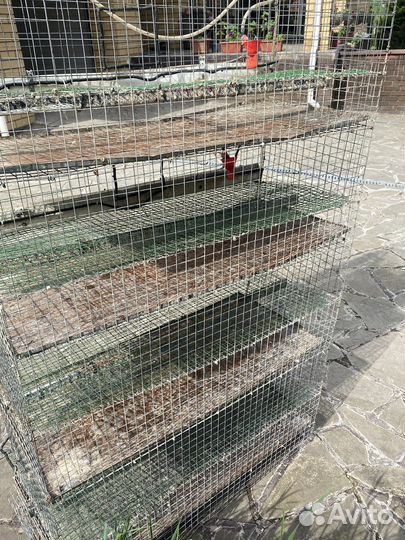 Клетки для перепелов на 120 голов