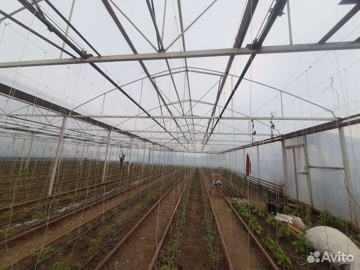 Теплица металлическая