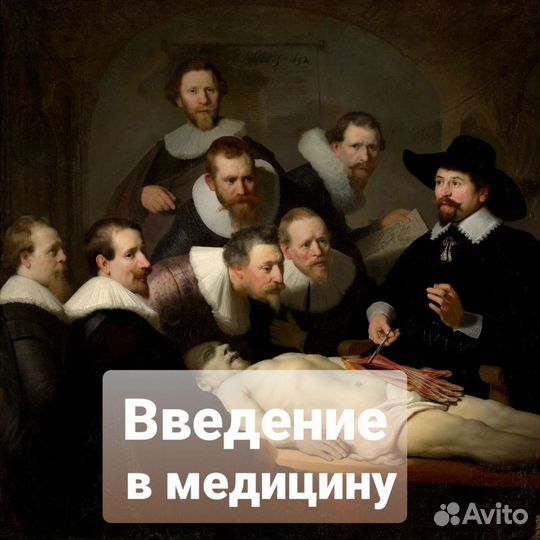 Репетитор по Биологии (егэ огэ), Анатомии