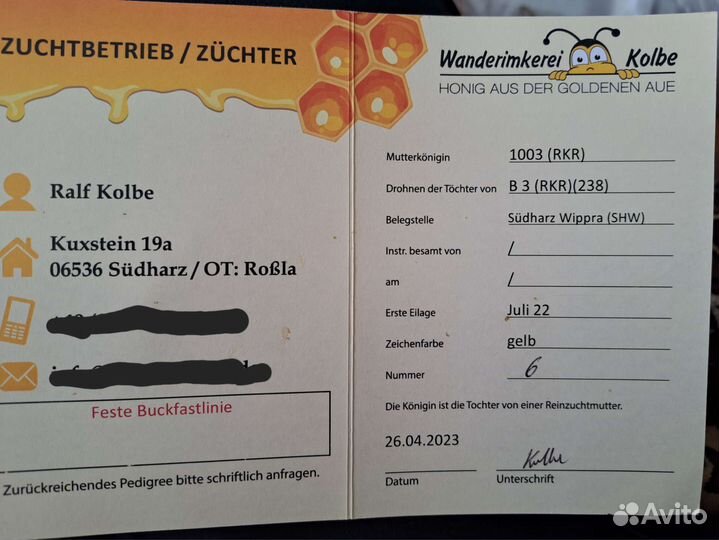 Пчеломатки Бакфаст на 2023 год