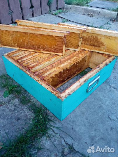 Рамки с сушью