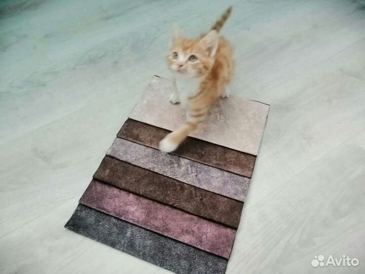 Ткань мебельная велюр