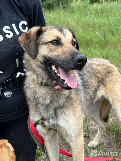 Очень добрый мальчик