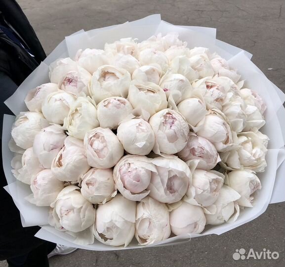 Пионы букет пионов 7 11 19 15