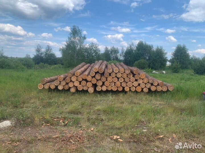 Продам пиловочник