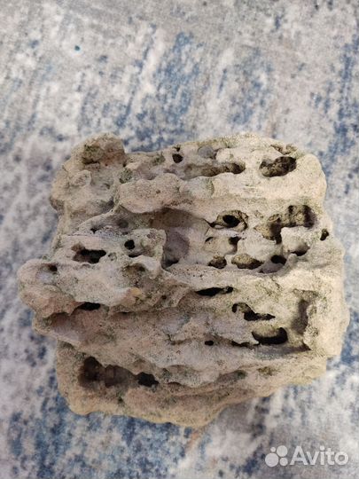 Камень песчанник для аквариума