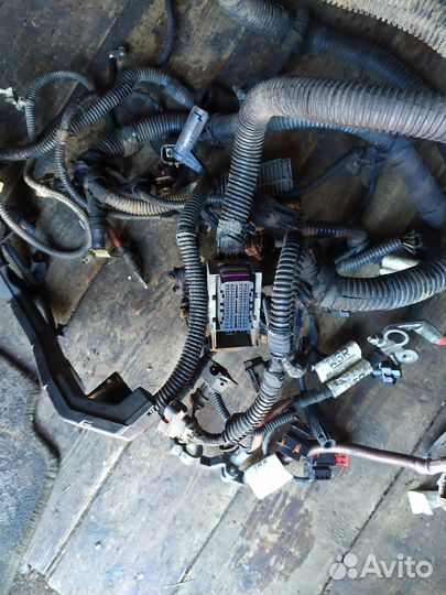 Проводка Opel Astra H дизель 1.7 cdti 2004-н.в