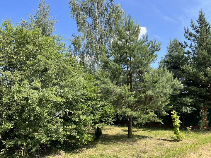 Участок 6 сот. (ИЖС)