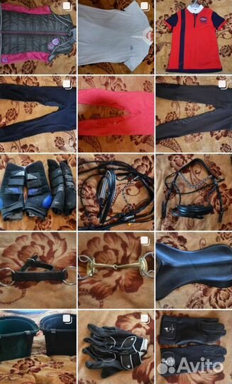 Амуниция для лошади