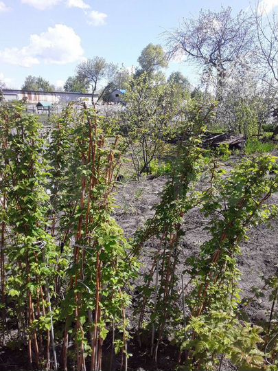 Дом 40 м² на участке 13 сот.