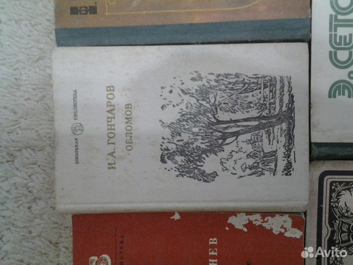 Русская и художественная литература