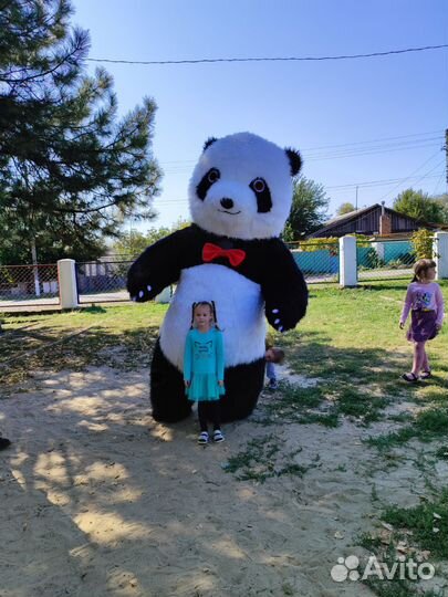 Аниматор, белый медведь, панда, ушастик и другие