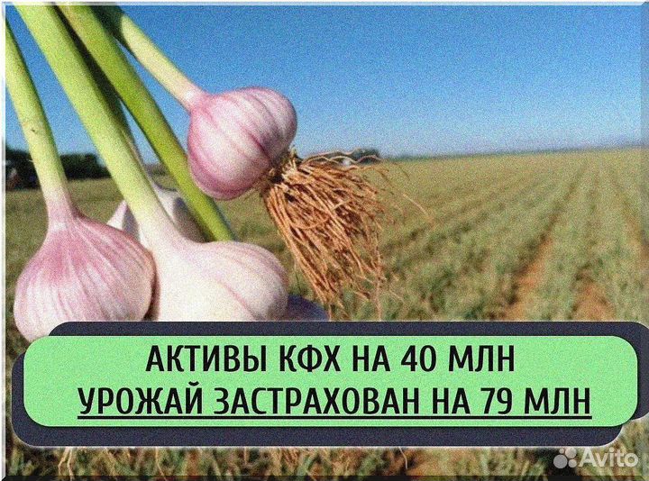 Ищу инвестора. Пассивный доход до 500 тыс. руб