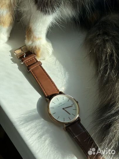 Часы Daniel Wellington