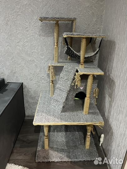 Кошачий домик