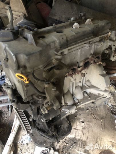 Двигатель nissan cr14de