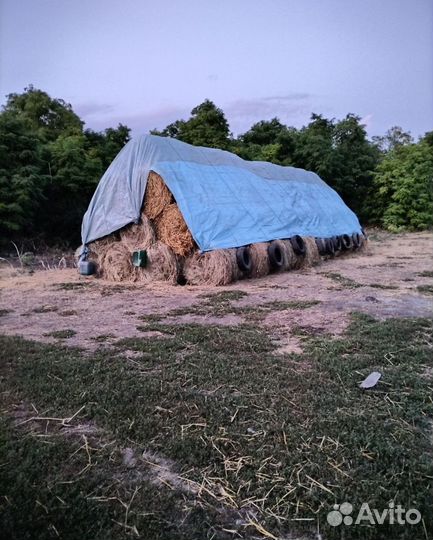 Сено, солома, люцерна