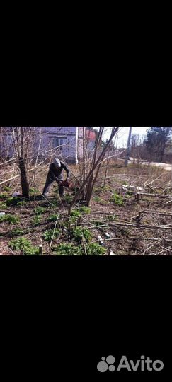 Сад благоустройство уборка вывоз мусора