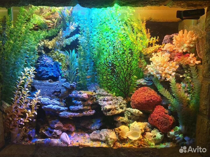 Декор для аквариума