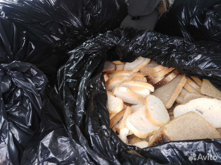Хлеб для животных разный с упаковкой и без