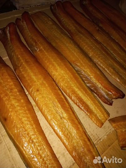 Рыба холодного копчения