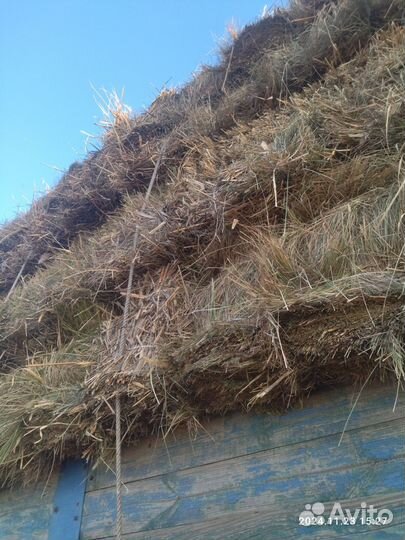 Сено любой сорт