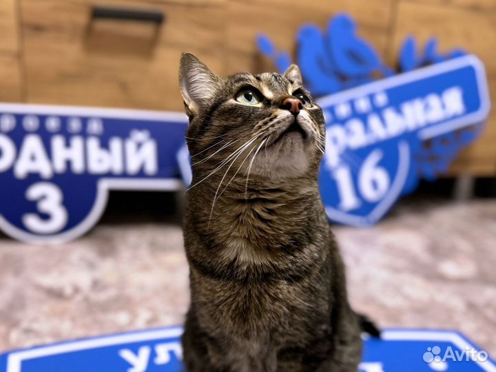 Адрес на дом / табличка