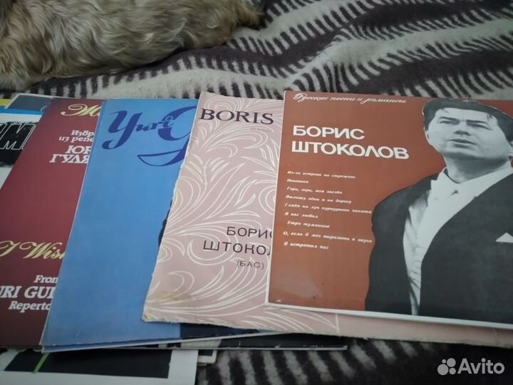 Виниловые пластинки