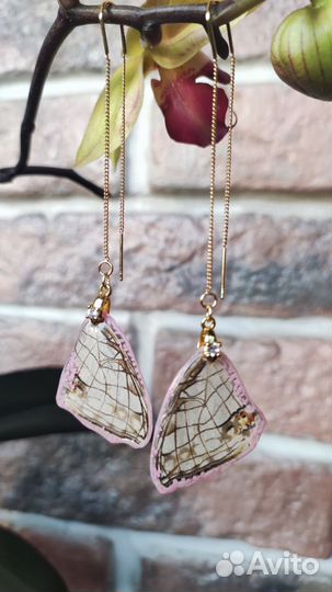 Серьги из настоящих крыльев бабочек